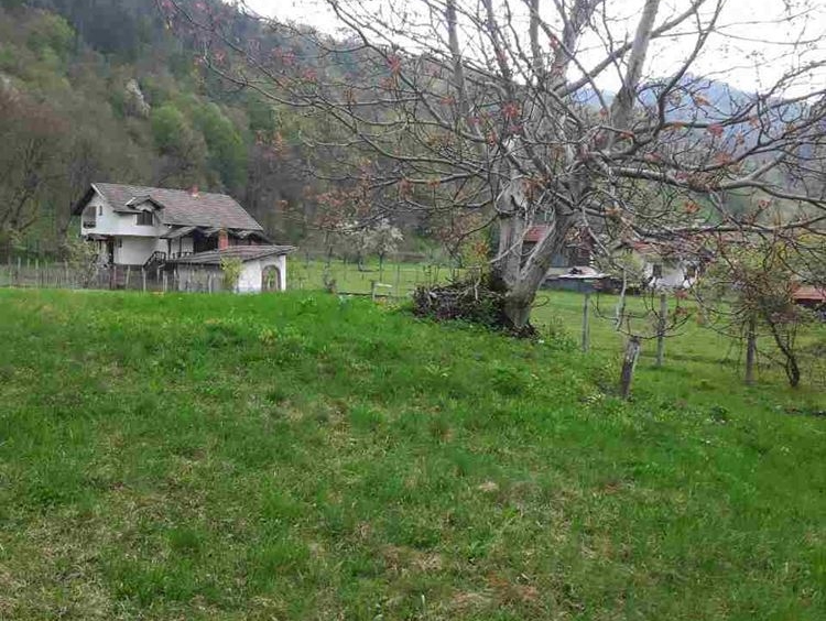 Урегулиран парцел в с. Рибарица/обл. Ловеч - 0